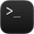 Terminal